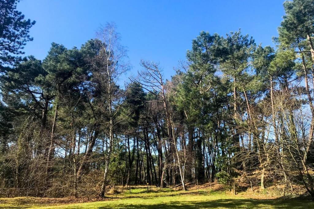 Villa Les Lutins Le Touquet Bagian luar foto